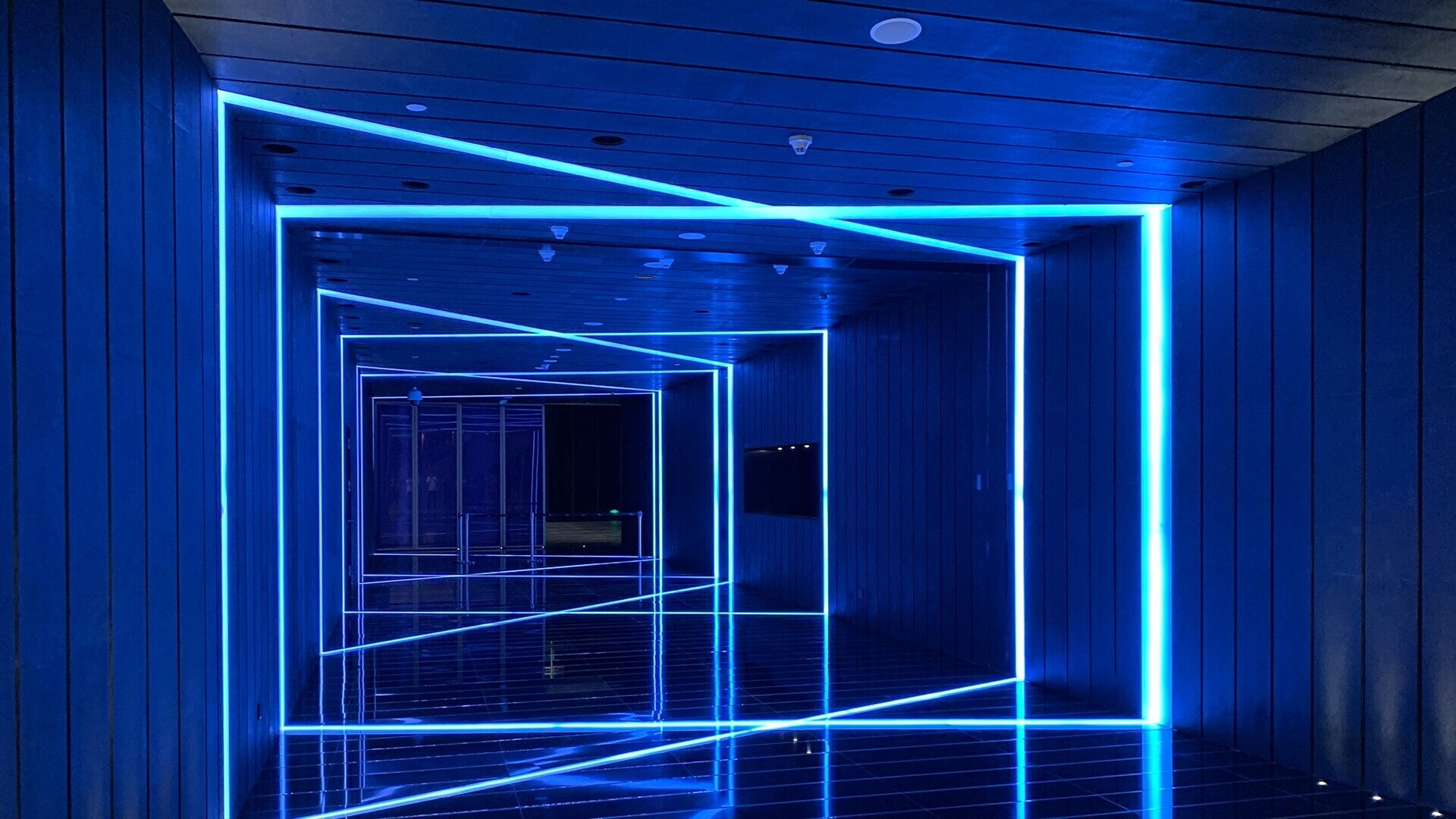 Max Led Max LED Strip Lights (Home) in Bangalore at best price by Mishra ...