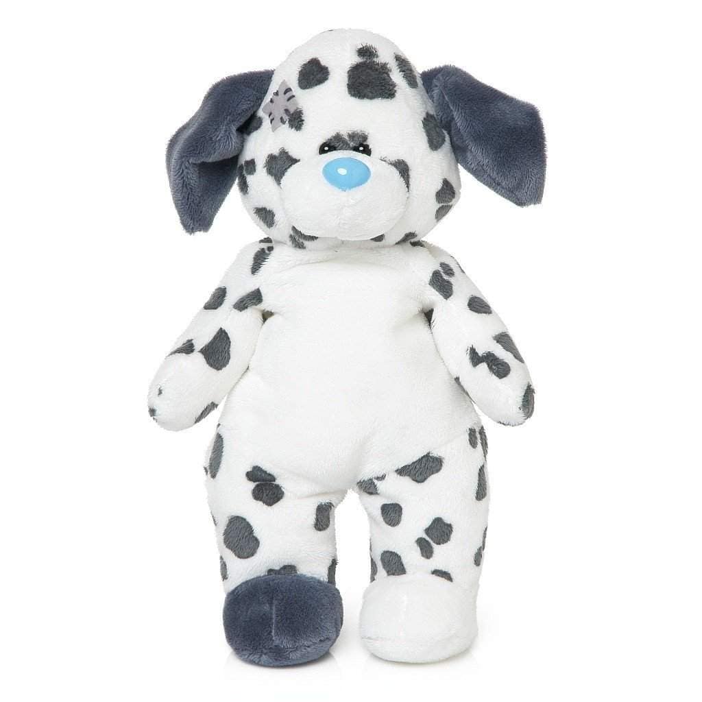 dalmatian teddy