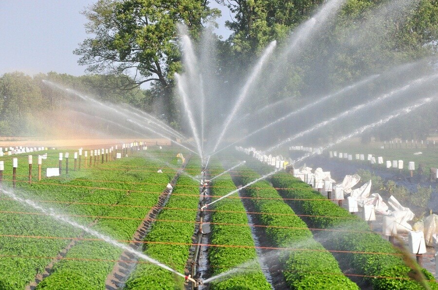 Micro Irrigation System For Agriculture in Pune at ₹ 5,000 Pc