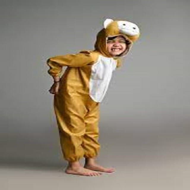 Monkey Animal Kids Fancy Dress Costume in Vrindavan at ₹ 350