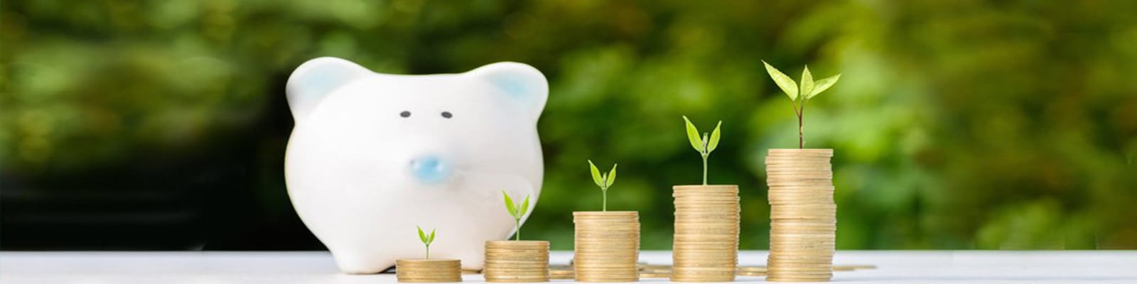 Mutual Benefit Company Registration