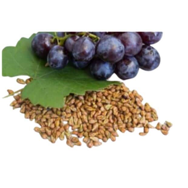 Natural Black Grape Seed (Brown) in Barshi at best price by Agro