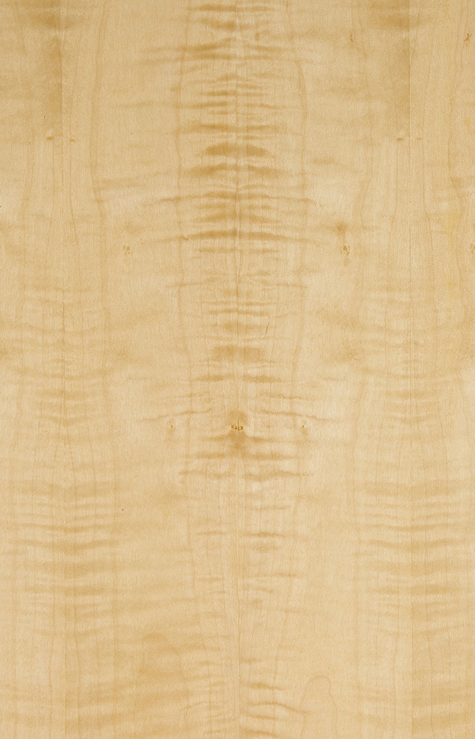 Timber in Bangalore Dealers, Manufacturers & Suppliers Justdial