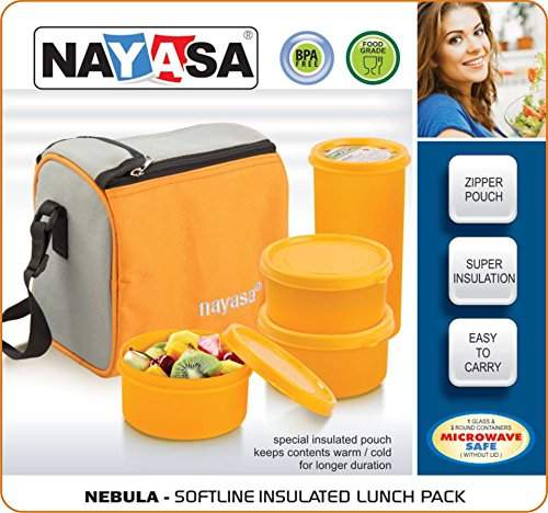 nayasa insulated lunch box