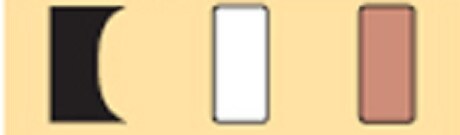 NBR VITON PTFE in Secunderabad at ₹ ₹ 80 Pc by AAA