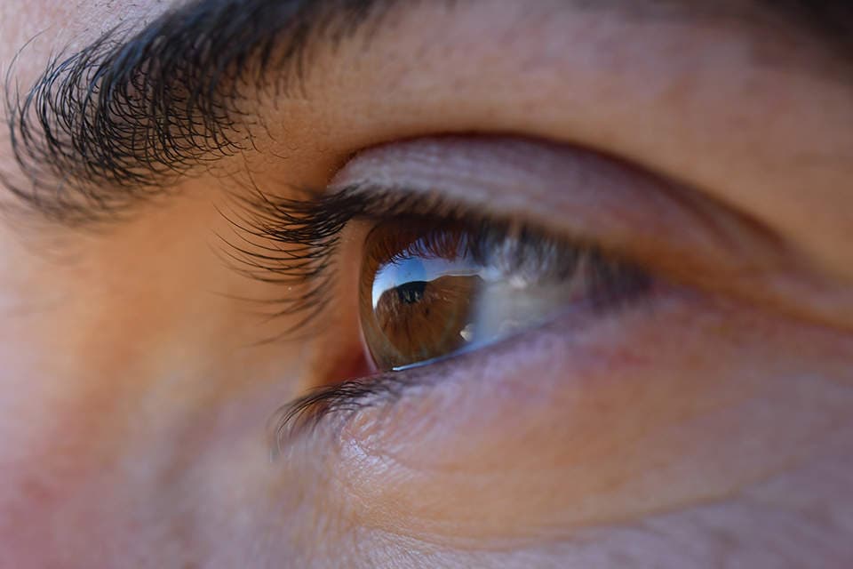 Nikon D500 DSLR Camera in Kolkata at best price by Khosla Electronics