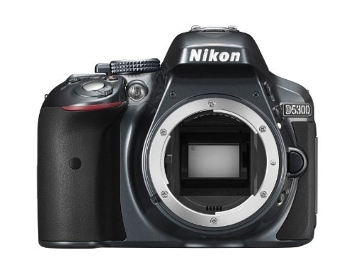 Nikon D Series D5300 Body only MP DSLR Camera (Grey) in