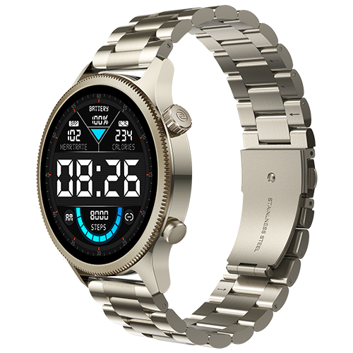 Noise NoiseFit Evolve Amoled Smart Watch (Elite Nickel) in