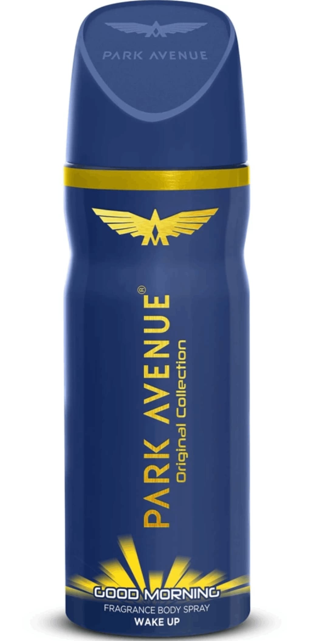 PARK AVENUE Good Morning Electric Perfume Body Spray For Men (110