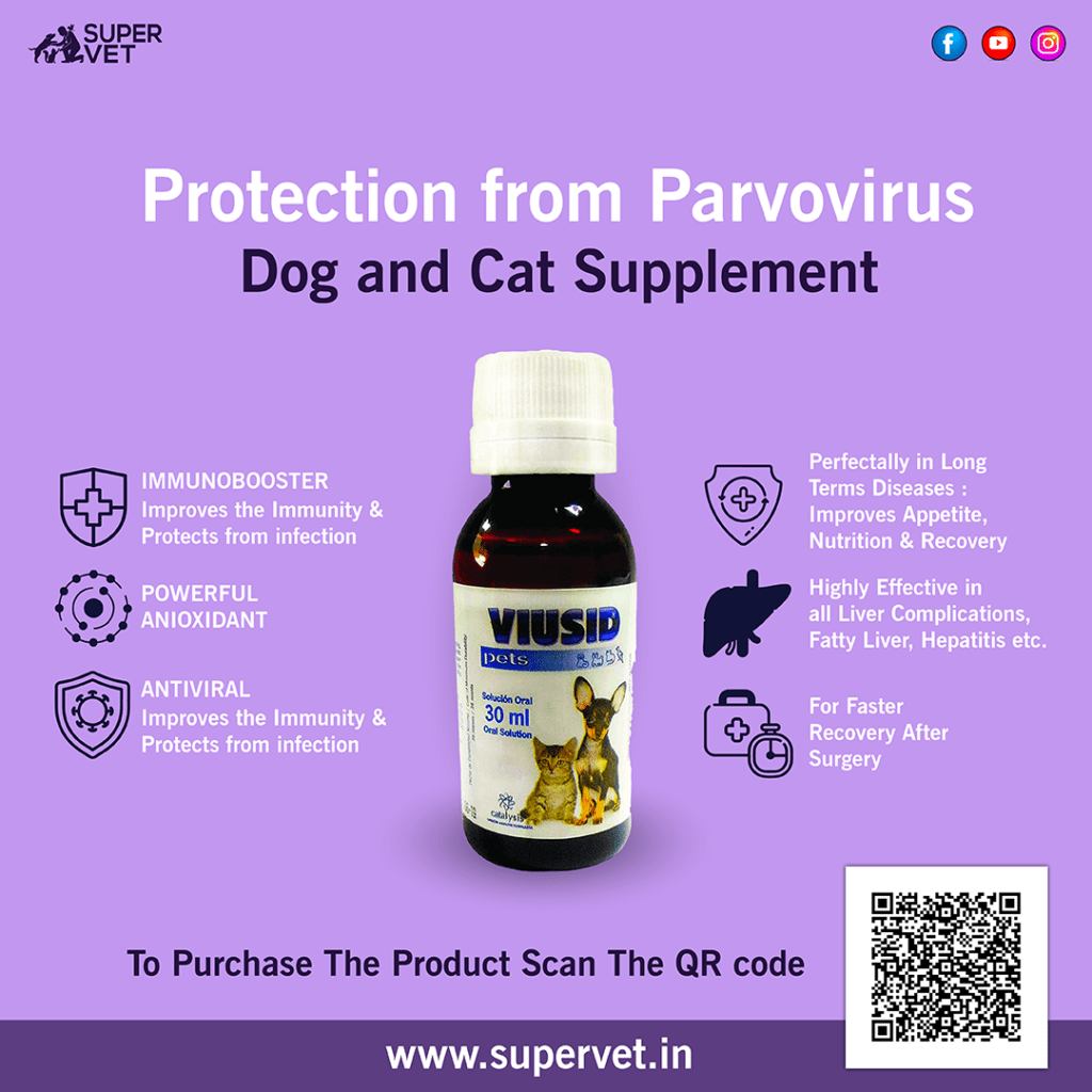 medicine for parvovirus in dogs