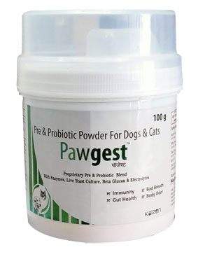 Mumbai Cement Dog Water Bowl SERBILHOME Water Fountains Indoor Outdoor Garden India Ubuy