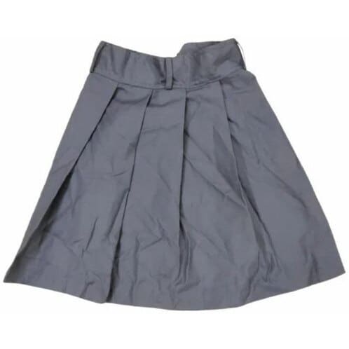 Gray Skirt School Uniform School Uniform Grey Kick Pleat Skirt