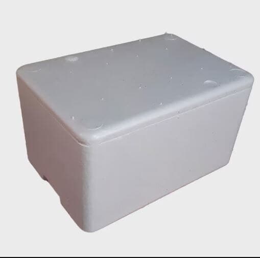 Plain Rectangular Thermocol Ice Box White in Moradabad at