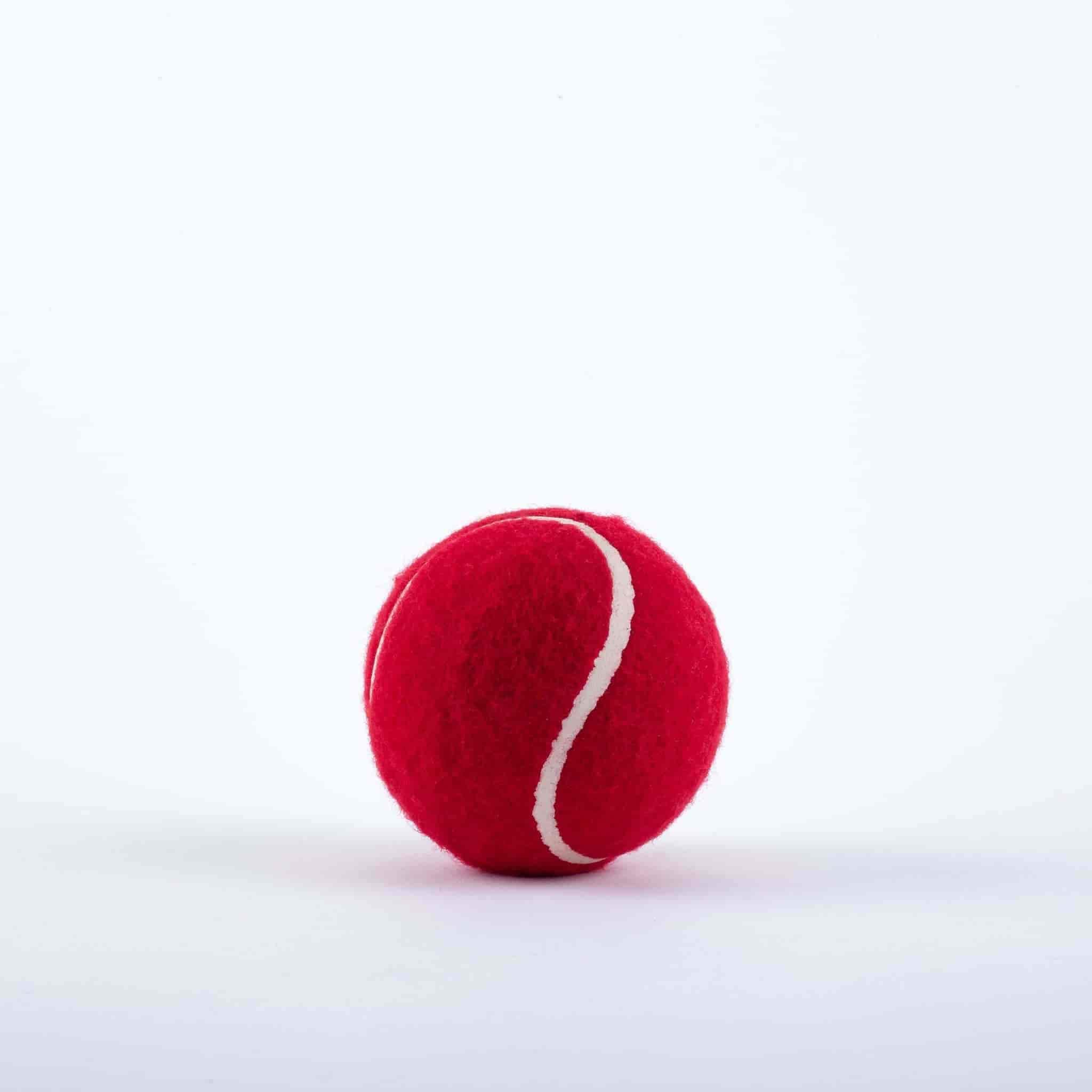 Plain Synthetic Tennis Ball Red (5cm) in Coimbatore at ₹ 450 Pc