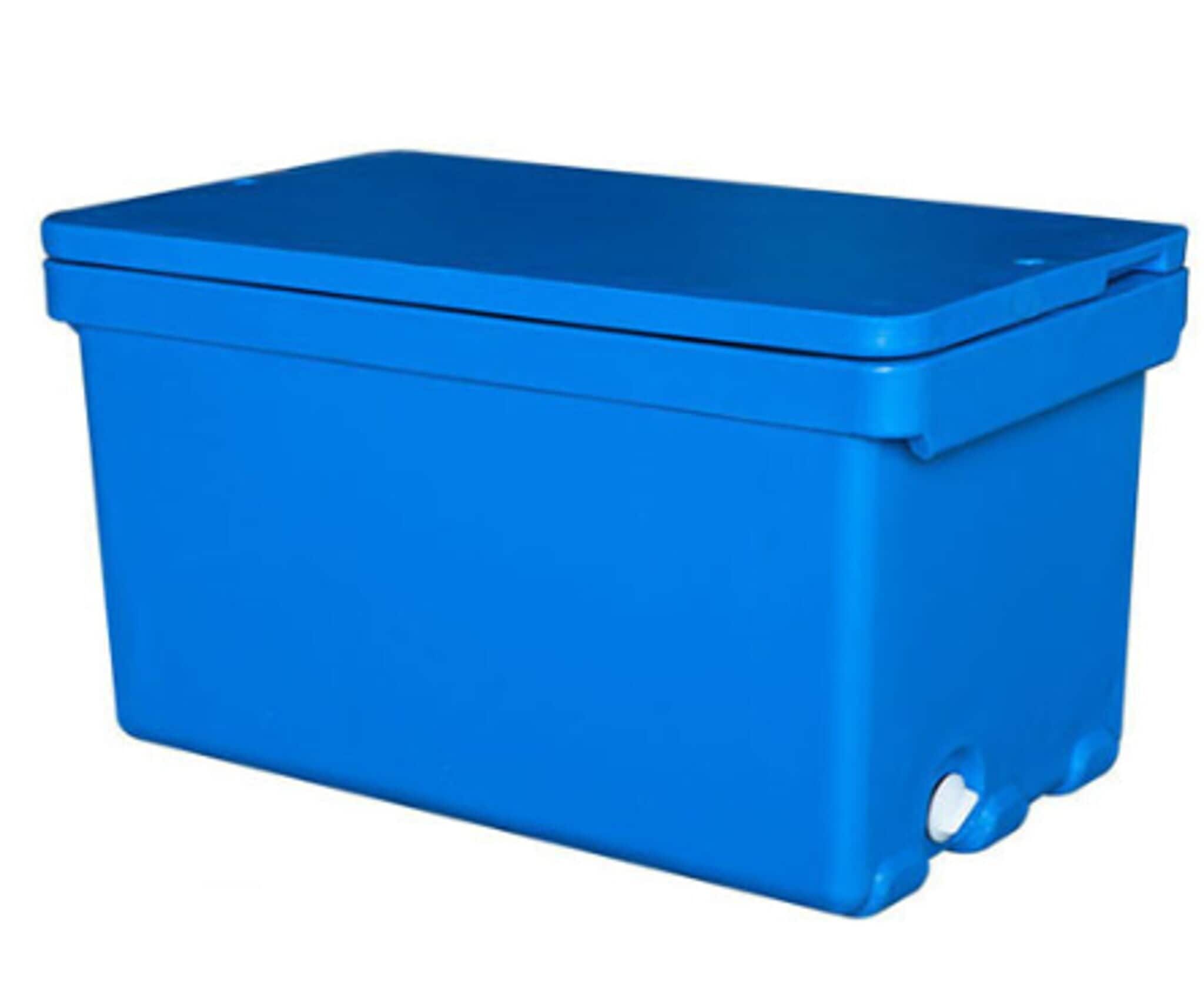 Plastic Ice Storage Box Blue Ltr in Delhi at ₹ 1,500