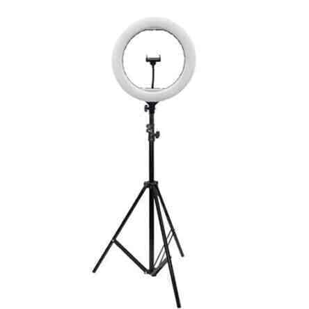Plastic Round LED Ring Light Black And White in Lucknow at