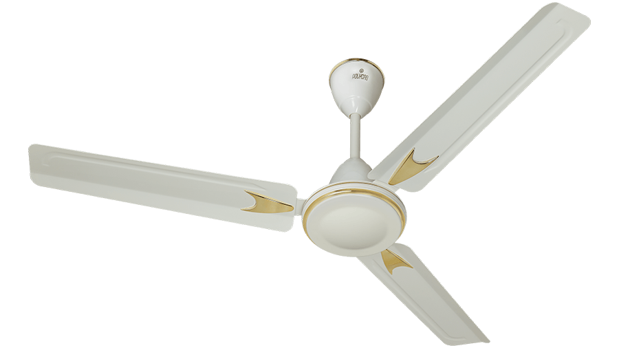 Polycab VIVA DLX FAN - Justdial 