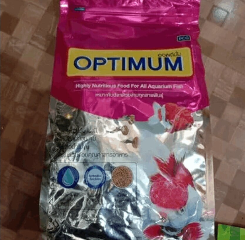 Optimum Aquarium Powder Fish Food, Packaging Size 500 g in Mumbai