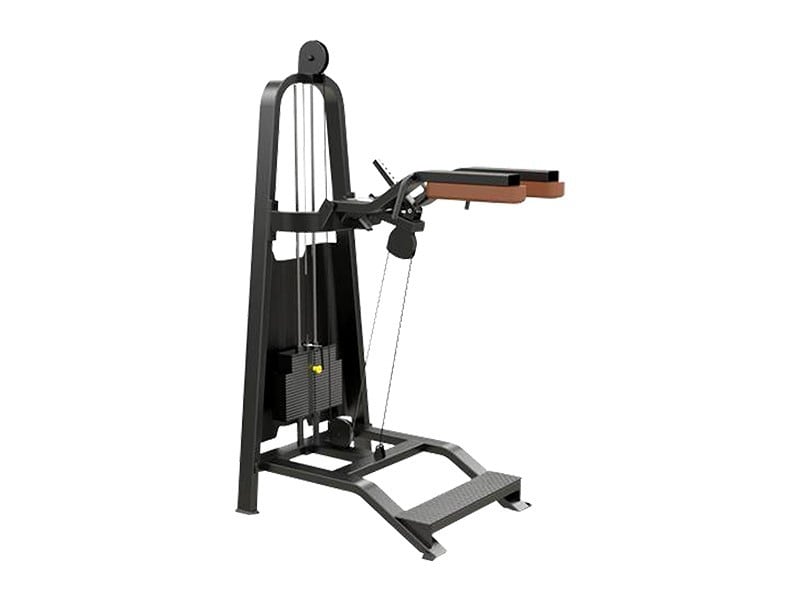 Power Max CS-017 Standing Calf in Hyderabad at ₹ L ₹