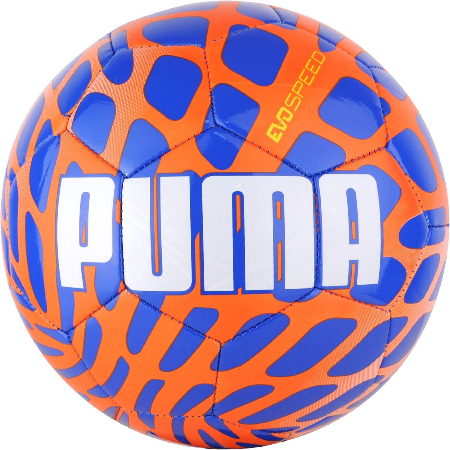 puma evospeed frame