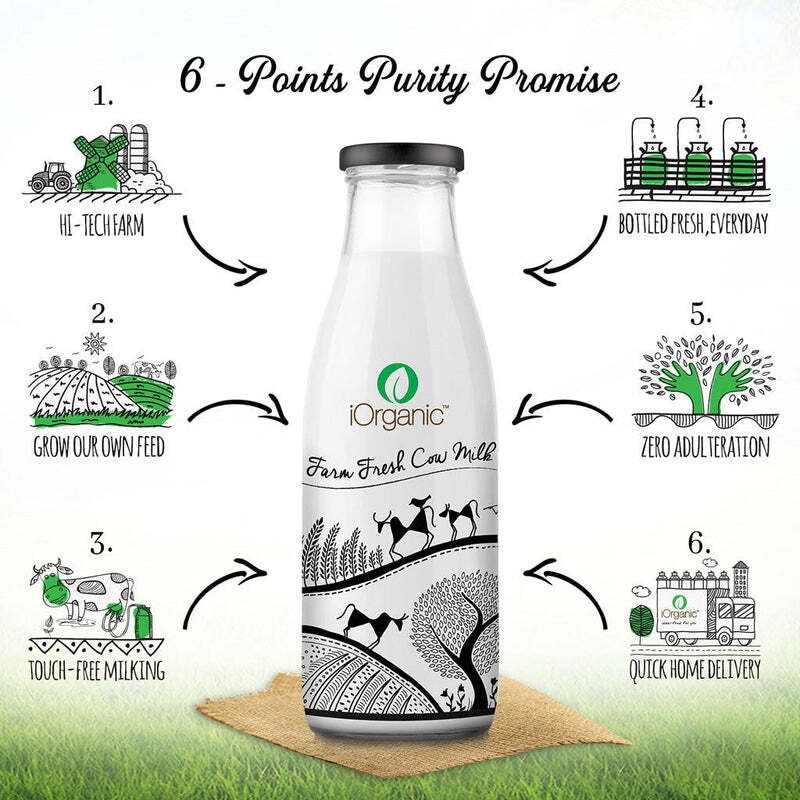 Pure White Cow Milk Fresh and Rich in Satara at best price by