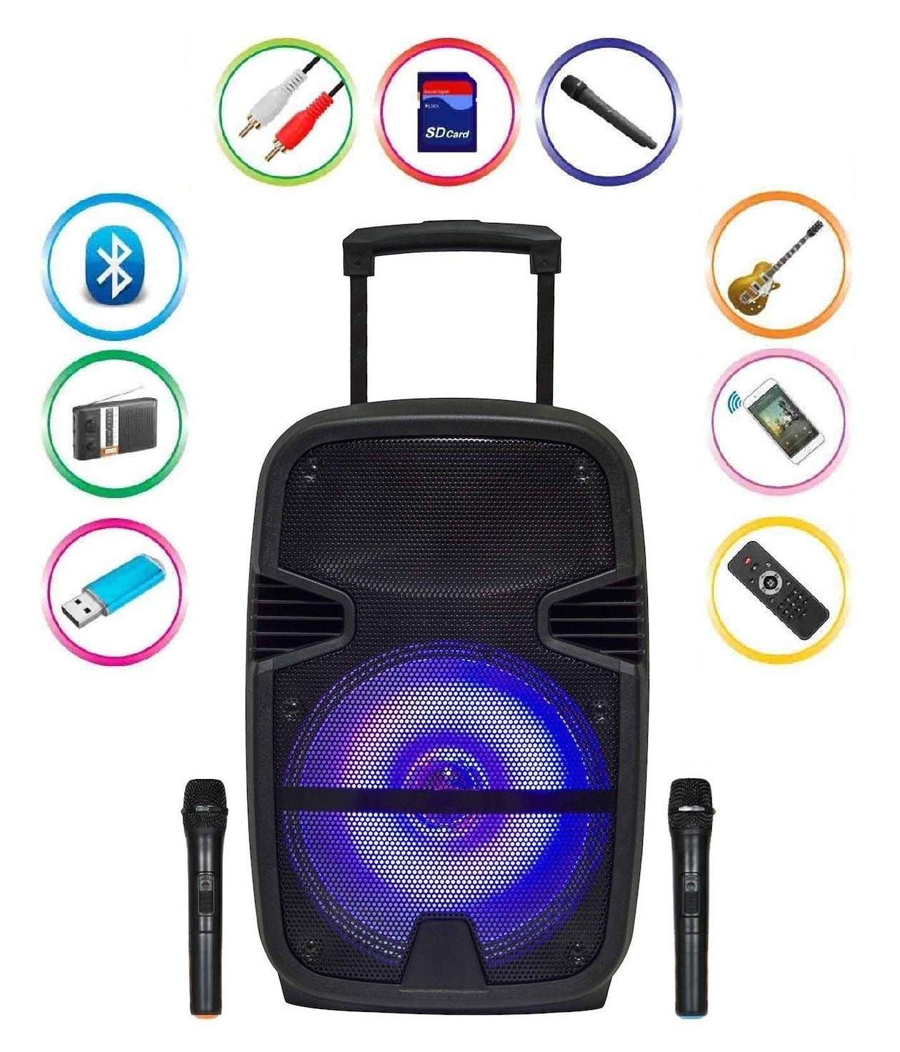 15 inch trolley speaker