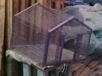 Rabbit Cage in Khandwa at ₹ 350 Pc by Mahajan Trading Justdial