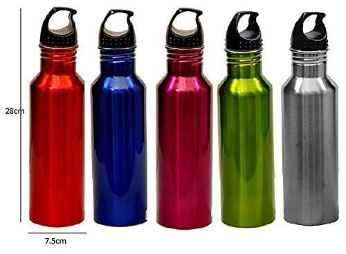 roxx thermosteel flask