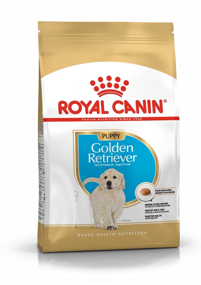 supplies for golden retriever puppy