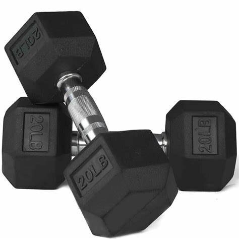 Rubber Hexagon Fixed Weight Dumbbells (20 LBS) in Pune at ₹ 1,632