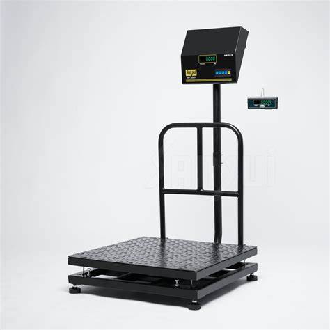SANSUI Digital Weighing Machine 100 Kg in Balasore at ₹ 8,000