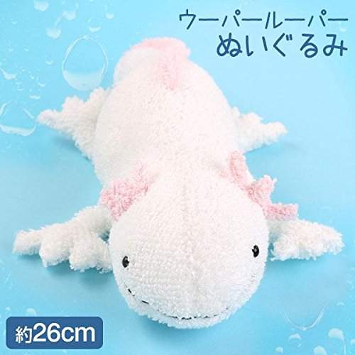 Buy Sea Creature Axolotl Mexican Salamander Realistic Plush Doll White Features Price Reviews Online In India Justdial