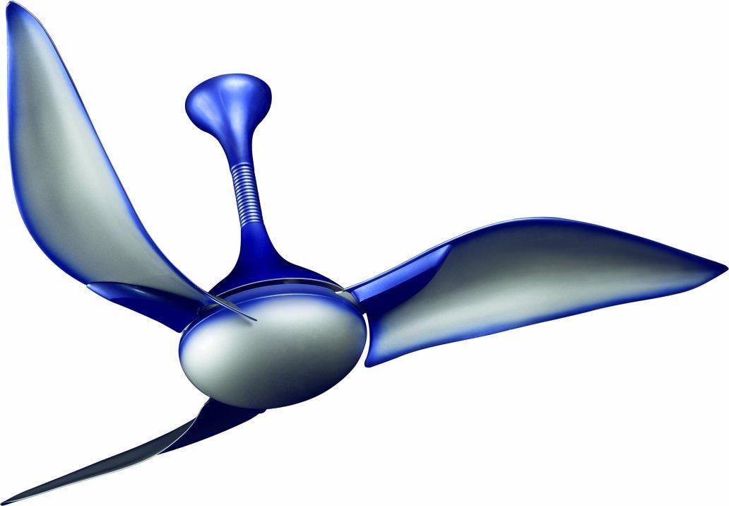 Crompton Seagull 1200 Mm Ceiling Fan Silver Blue Features Reviews In India Justdial Crompton Seagull 1200 Mm Ceiling, Seagull Ceiling Fans