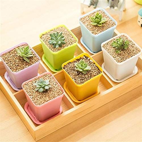 Buy Sellify Pink Gardening Mini Plastic Flower Pots Plastic Tray Vase Square Flower Bonsai Planter Nursery Pots 7 Color Garden Supplies V4604 Features Price Reviews Online In India Justdial