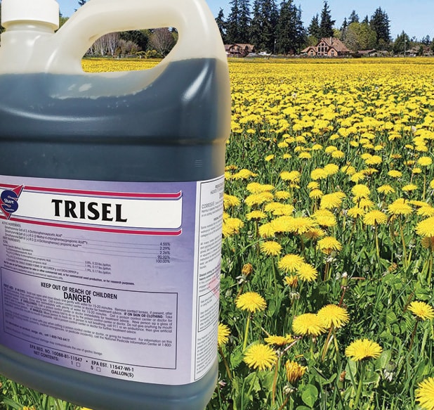 Sencor Metribuzin 70 WP Herbicide in Hyderabad at  40 -  1,600 / Pc by  Bayer Crop Science Ltd - Justdial