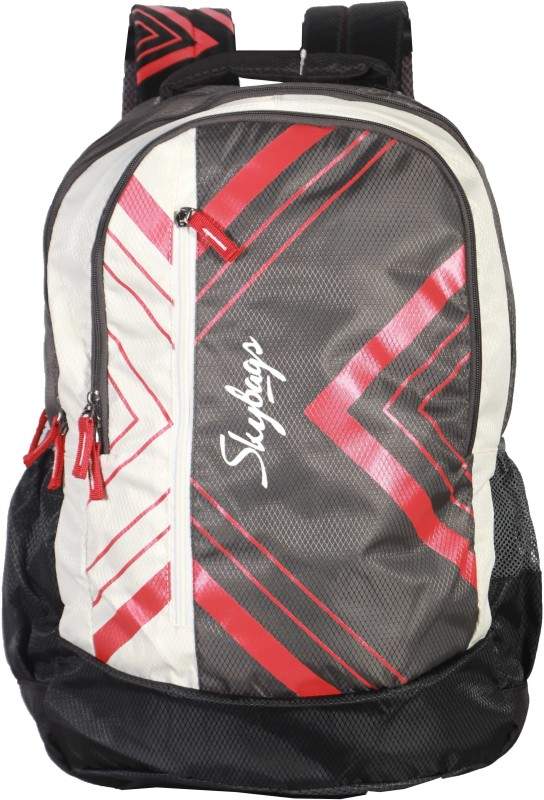 Skybags Ronan Extra 01 Backpack (Grey 