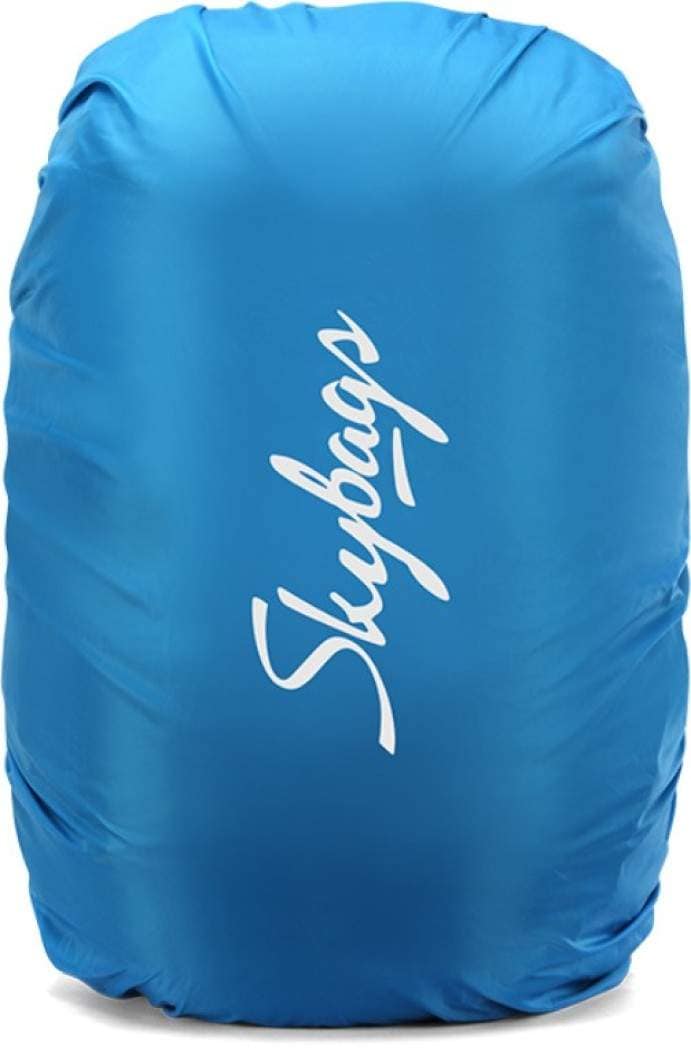 Skybags ZYLUS 01 LAPTOP BACKPACK BLACK 29.484 L Laptop Backpack(Black