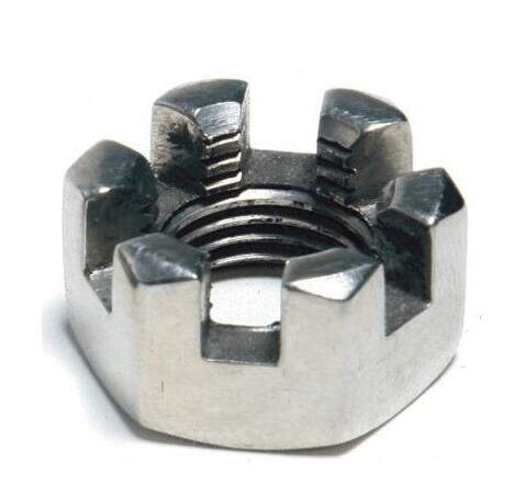 Slotted Nuts in Ludhiana at ₹ 90 Kg by Tara Chand Walaiti Ram - Main Image