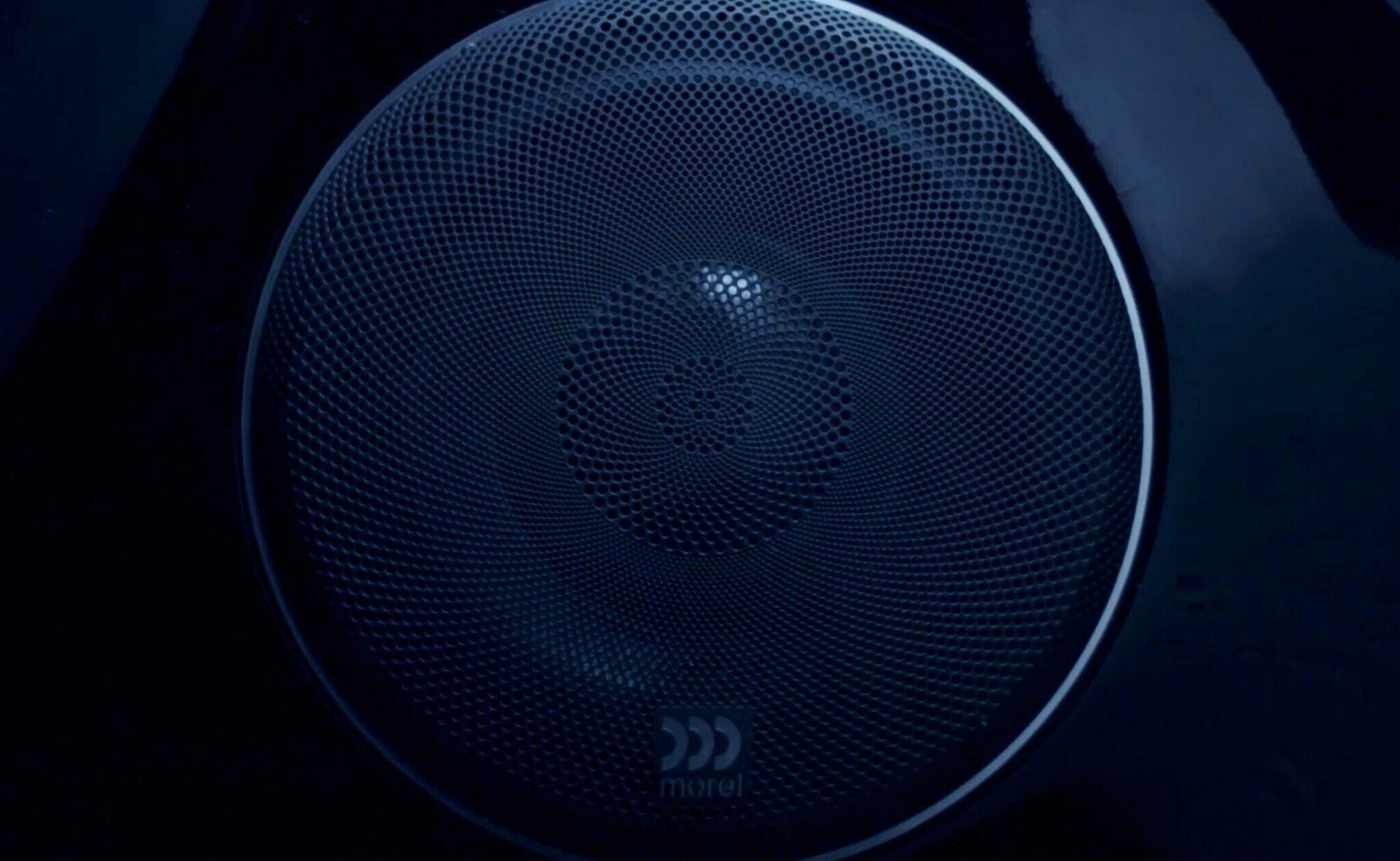 Buy Morel Solan Bookshelf Speaker Black Ash Online - Best Price Morel Solan  Bookshelf Speaker Black Ash - Justdial Shop Online.