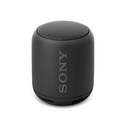 sony srs xb10 flipkart