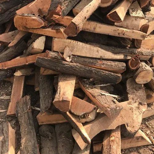 Special Dry Firewood in Satara at best price by Plaza Traders and  Transports - Justdial