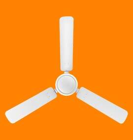 Sujata Furo Air Ceiling Fan in 