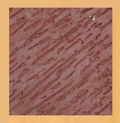 Techno Paints Rainfall Design Rustic Texture in Chennai at best price ...