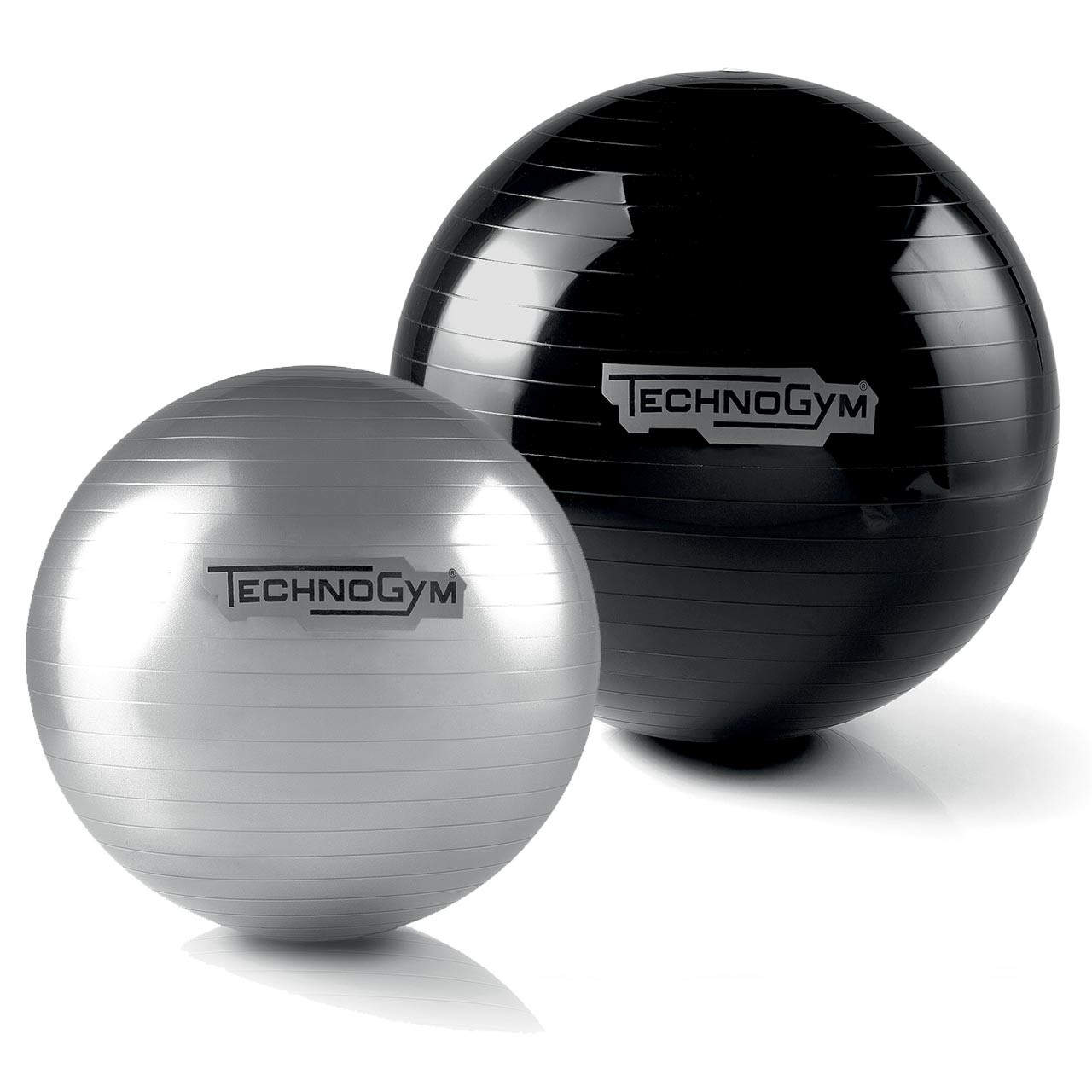 Technogym Wellness Ball Active Sitting