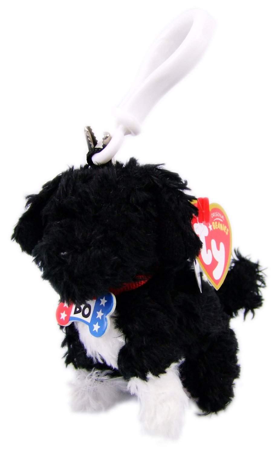 baby portuguese water dog