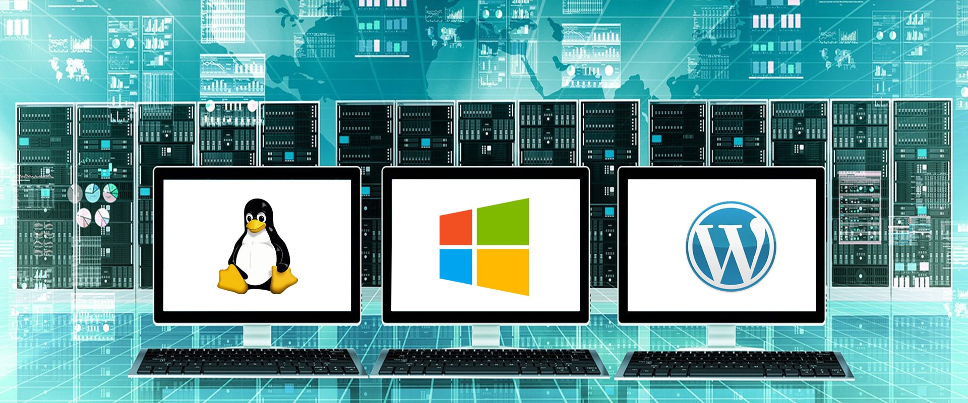 Unix-Based Web Hosting Services in Chennai at best price by Chennai ...
