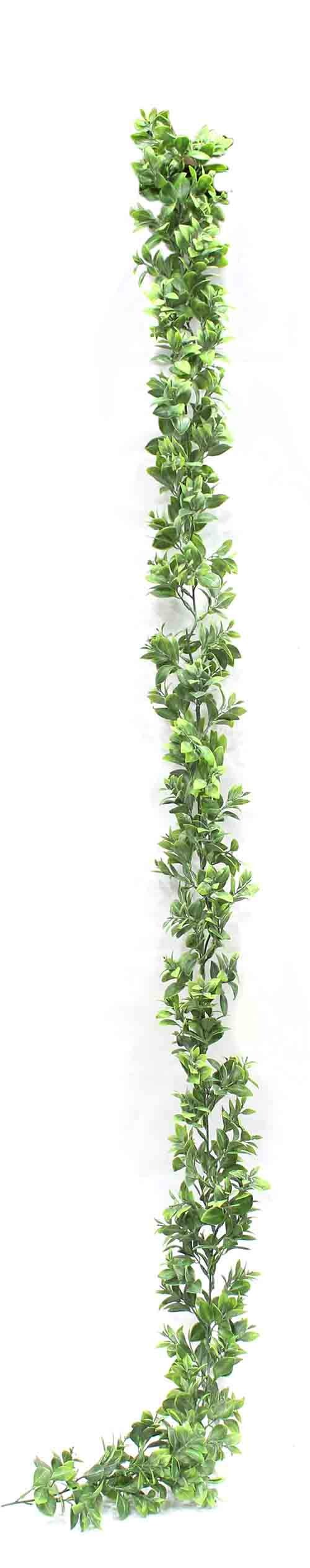 Vine AGV-001 in Delhi at best price by Aavana Greens Pvt. Ltd. - Justdial