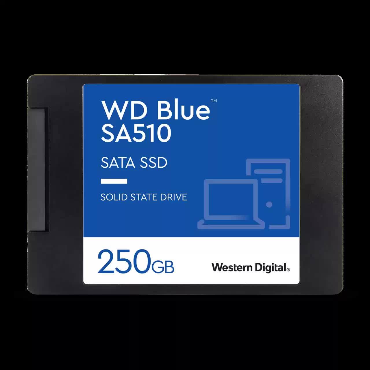Inch Ssd Wd 250 Gb Western Digital Blue SA510 SATA SSD Inch