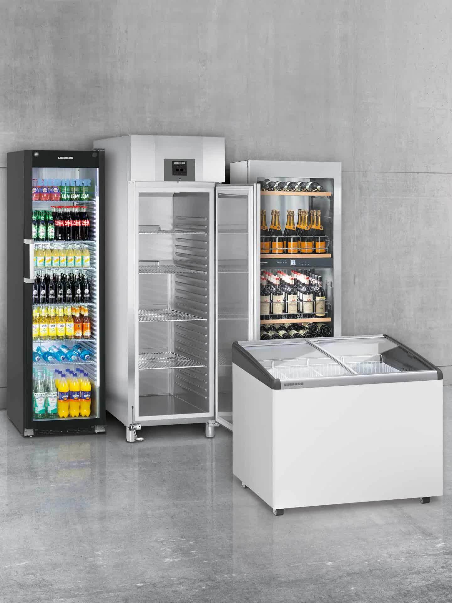 Western Double Door VISI Cooler (722 Ltr,SMR12) in Ahmedabad at