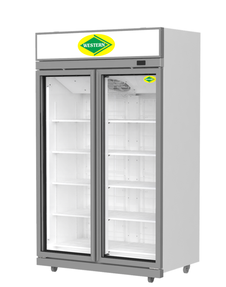 Western Double Door VISI Cooler (722 Ltr,SMR12) in Ahmedabad at